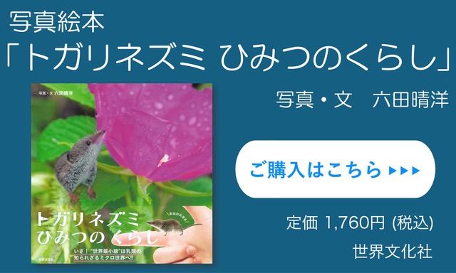 写真絵本「トガリネズミ ひみつのくらし」 ご購入はこちらから 1,760円(税込)